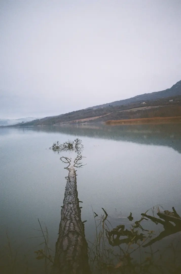 Cámara analógica de la colección OSCROP CAMERAS