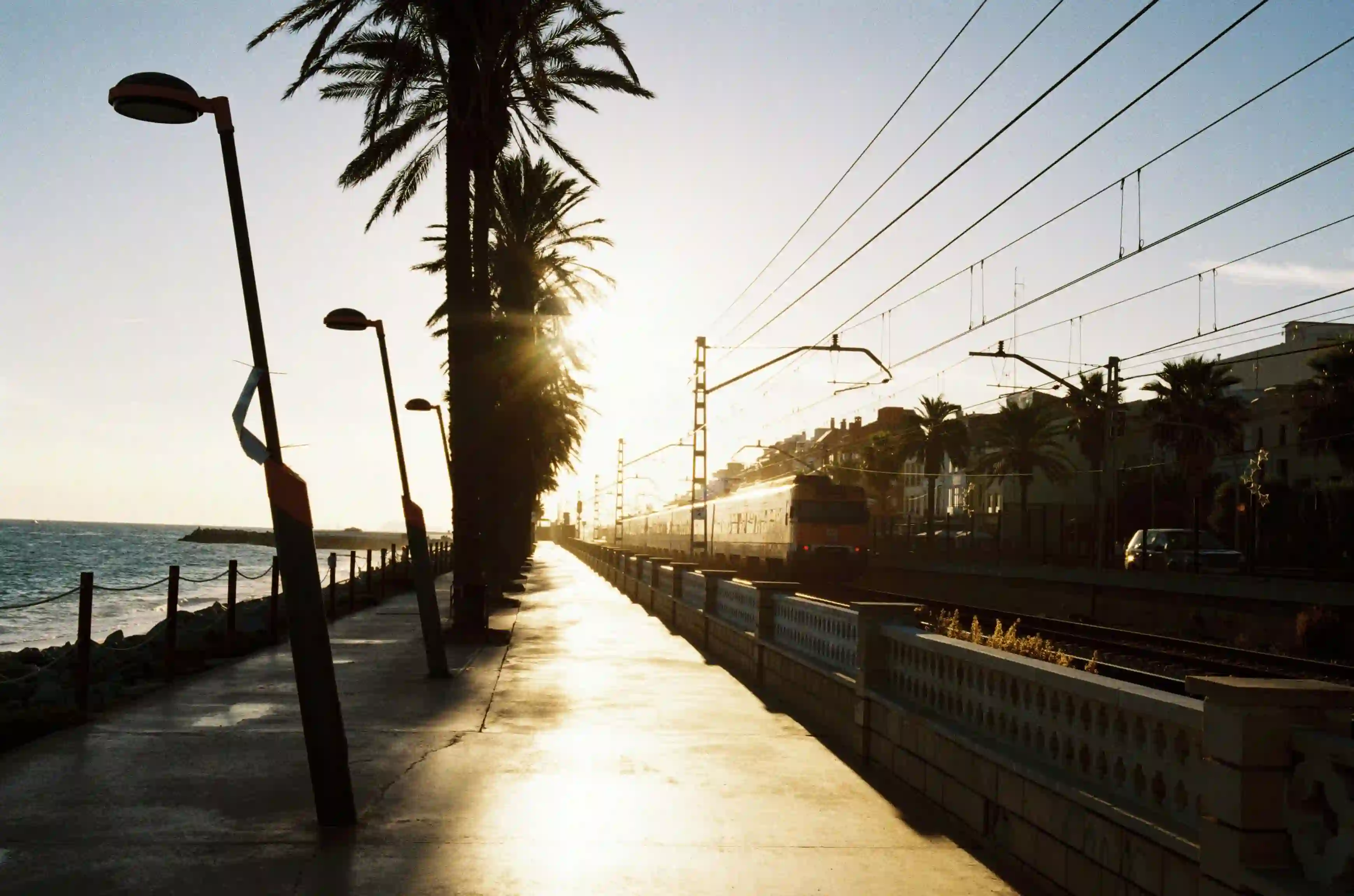 Taller de revisión de cámaras analógicas Barcelona