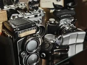 Cámaras de la colección de Pol