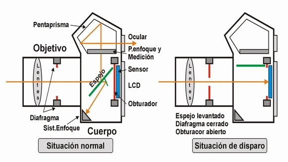 Como funciona una cámara reflex antes y durante el disparo.